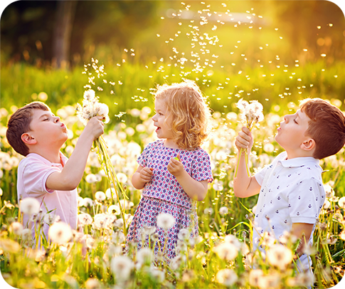 shutterstock_1409825864