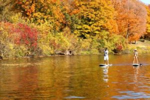 Stand Up Paddle Board